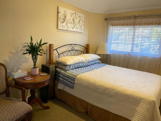 Ocean Breeze Executive Bed&Breakfast North Vancouver Exterior foto