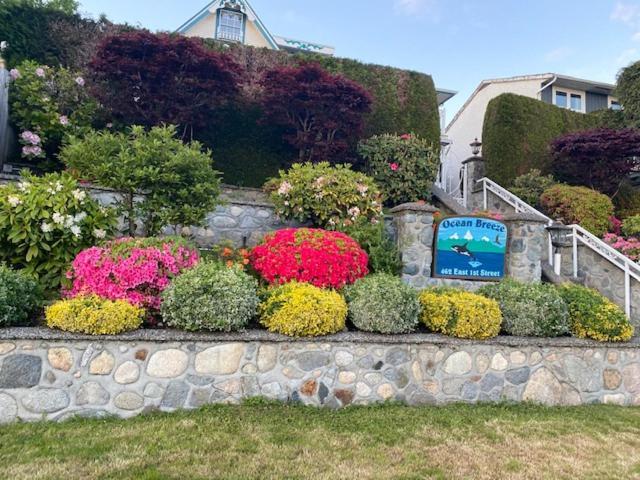 Ocean Breeze Executive Bed&Breakfast North Vancouver Exterior foto